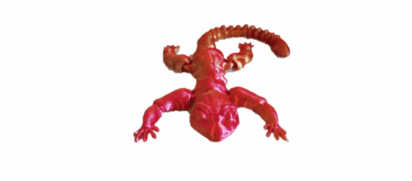 Fuzzy Gecko - Image 5