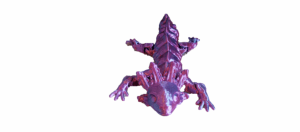 Axolotl - Image 2