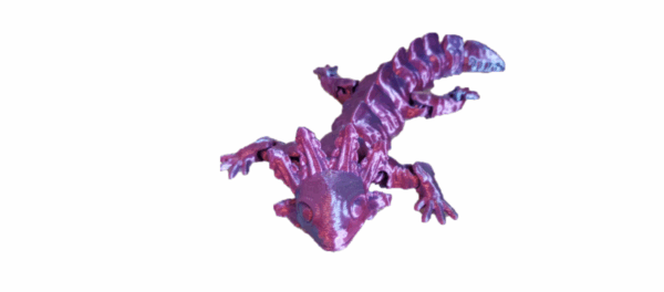 Axolotl