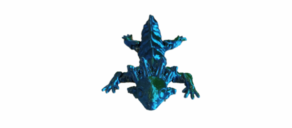 Axolotl - Image 4