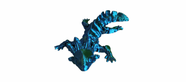 Axolotl - Image 3