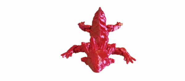 Axolotl - Image 6