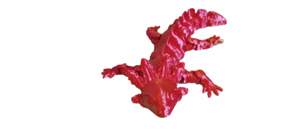 Axolotl - Image 5