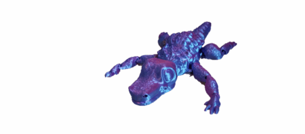 Crocodile - Image 5