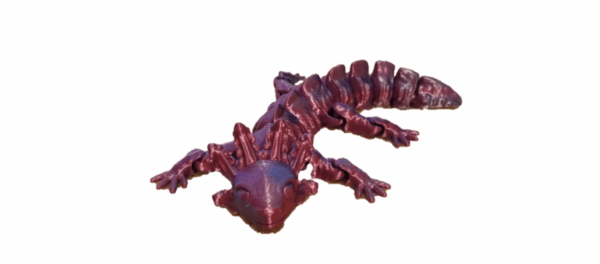 Axolotl